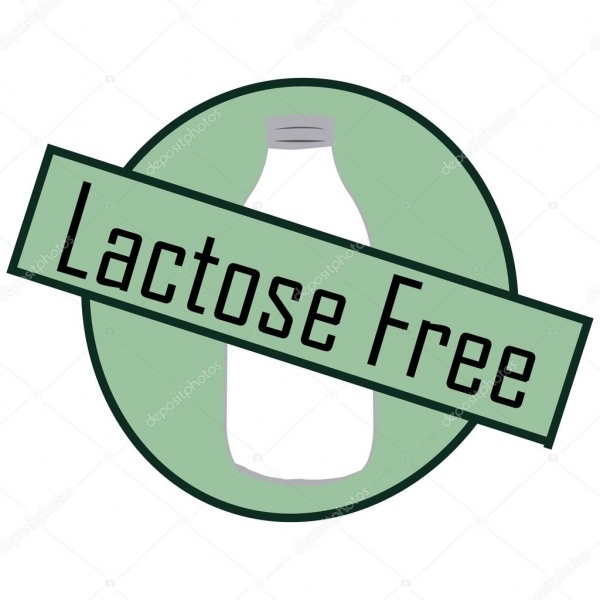 Lactose vrij